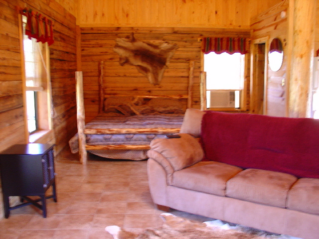 Log Cabin 2007